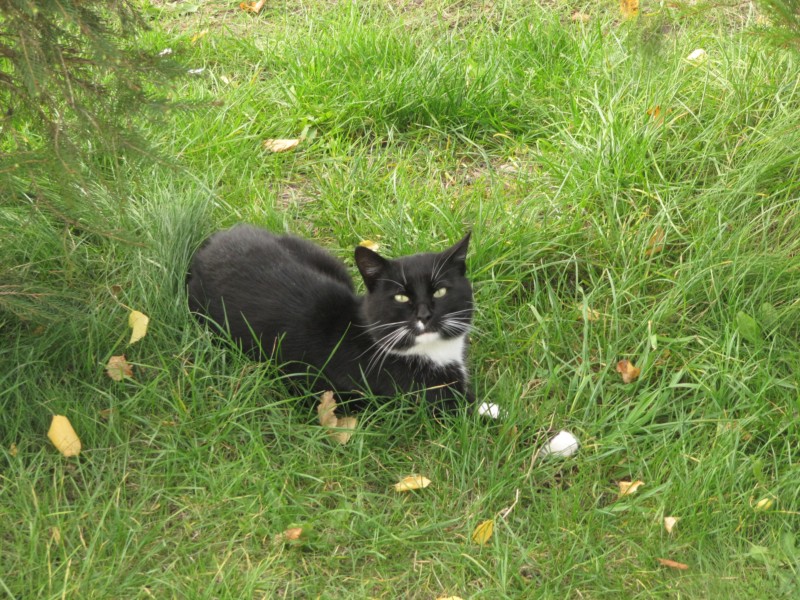 Leba Campingplatz 5