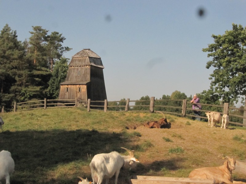 Freilichtmuseum Olsztynek 17