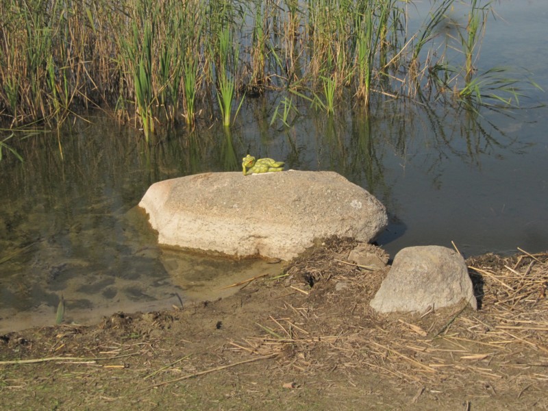 Sonntagsausflug vom Campingplatz Sonata 9