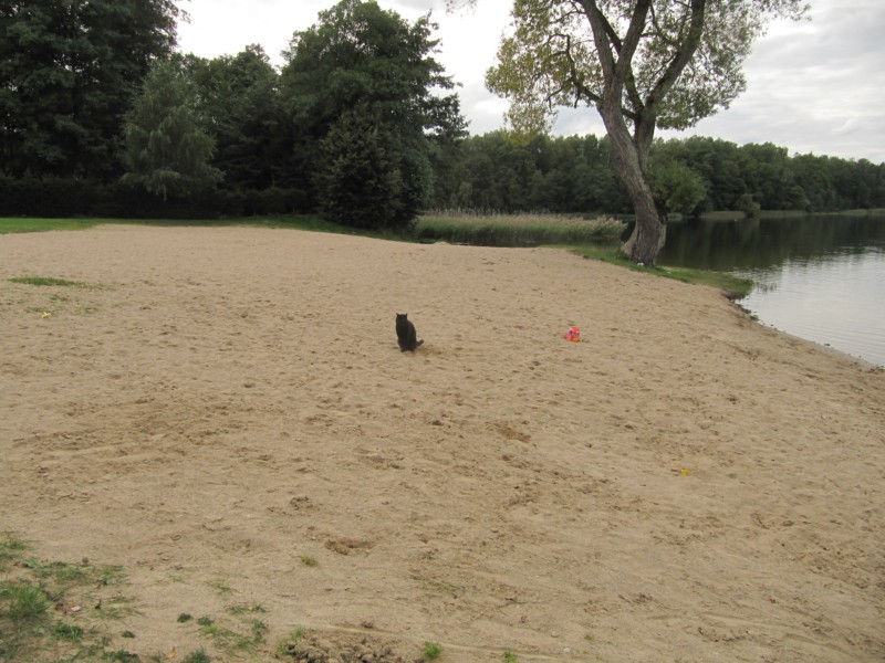 Sandstrand für Bernstein