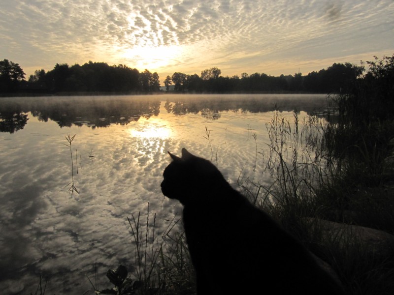 Bilder vom Campingplatz Tumiany 4