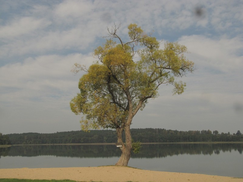 Bilder vom Campingplatz Tumiany 8