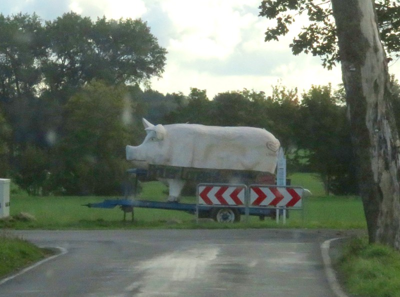 Schweinefigur an der Straße