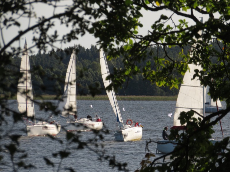 Regattabilder vor dem Campingplatz 1