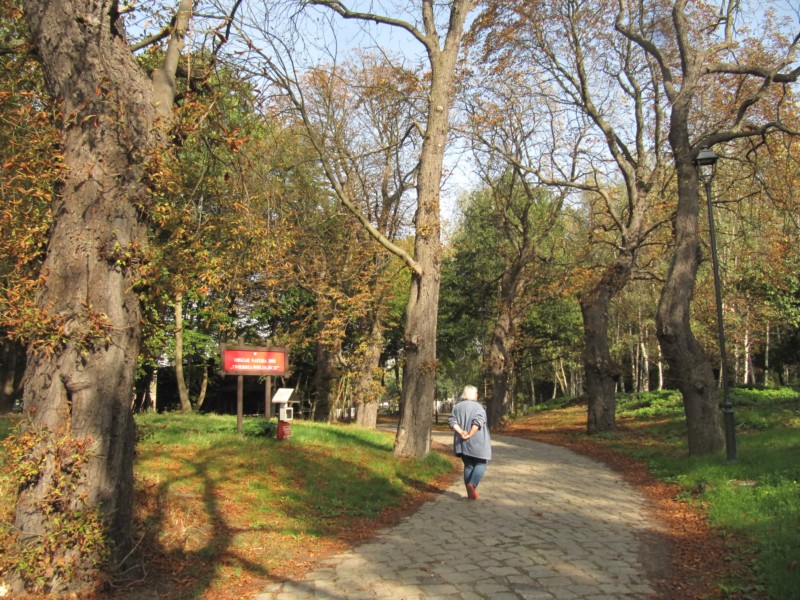 Fort Weichselmünde 1