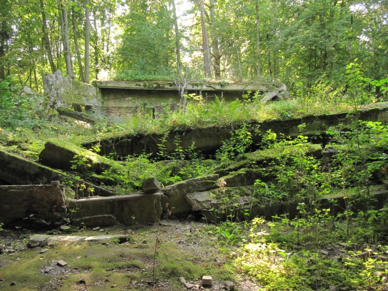 Impressionen vom Führerhauptquartier Wolfsschanze 8