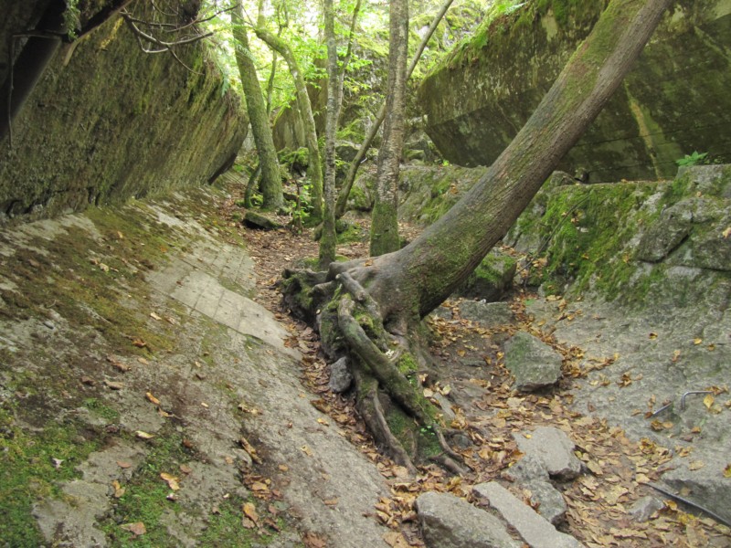 Impressionen vom Führerhauptquartier Wolfsschanze 12