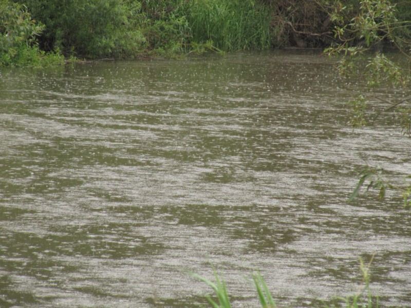 Regen auf der Fulda 2