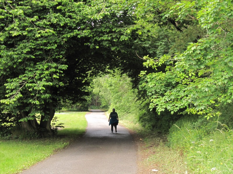 Bilder Wanderung Dankerode 1