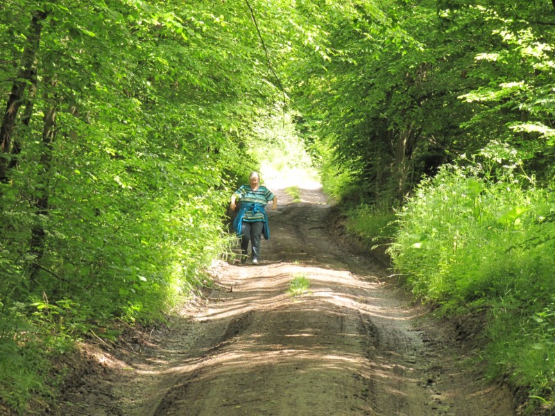 Bilder Wanderung Dankerode 3