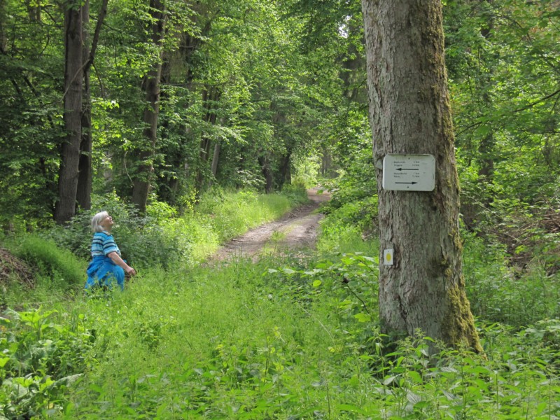 Bilder Wanderung Dankerode 6