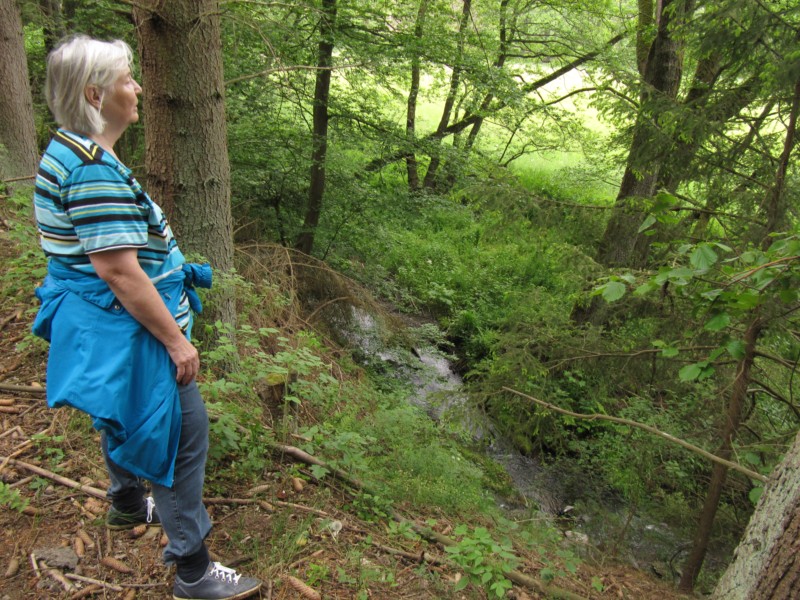 Bilder Wanderung Dankerode 17