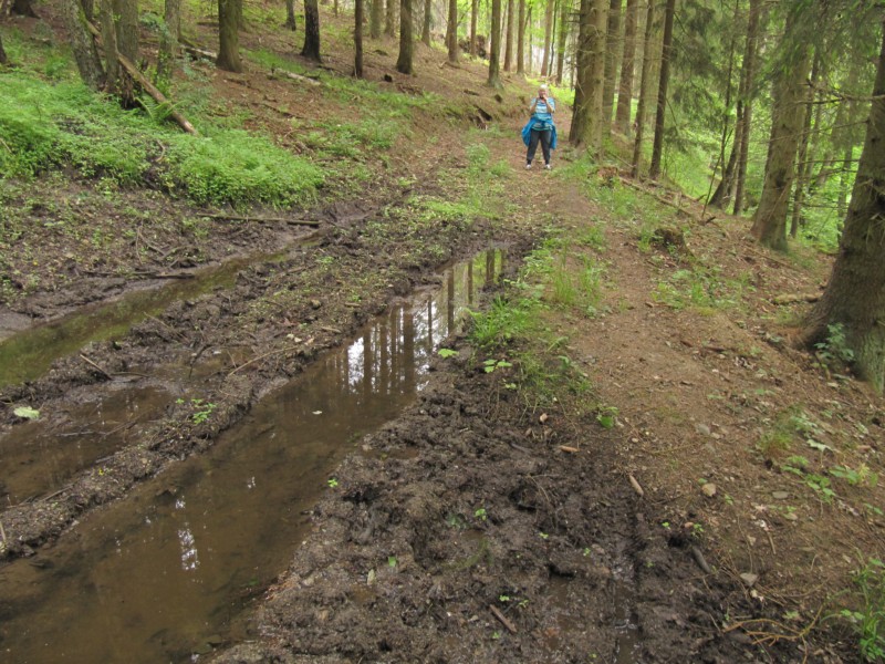 Bilder Wanderung Dankerode 18