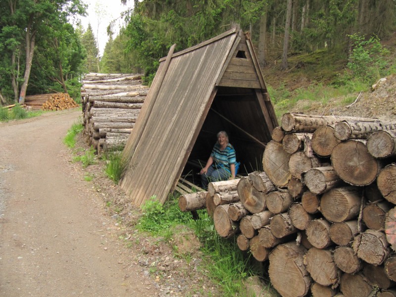 Bilder Wanderung Dankerode 21