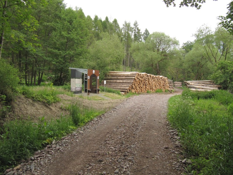 Bilder Wanderung Dankerode 22