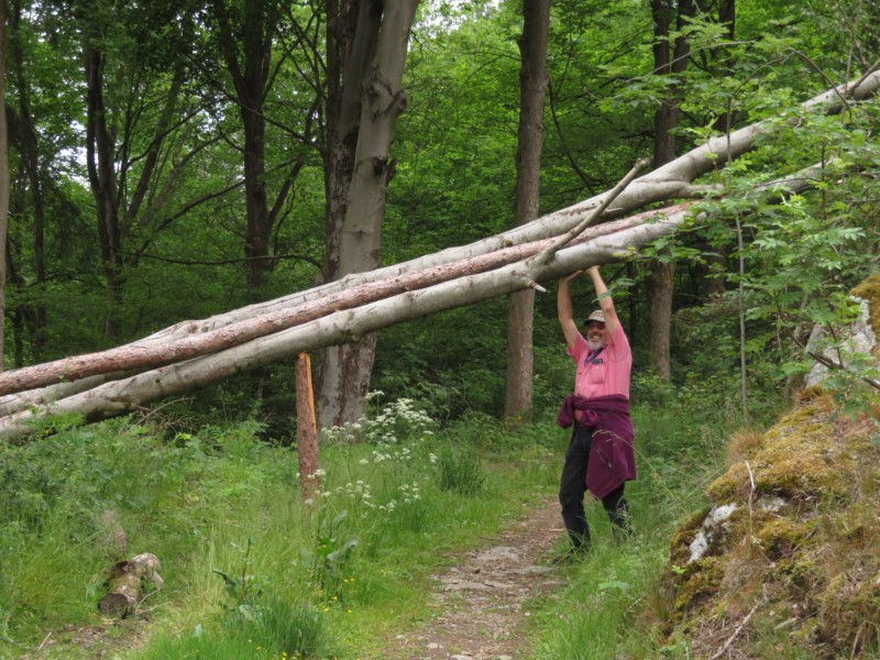 Bilder Wanderung Dankerode 28