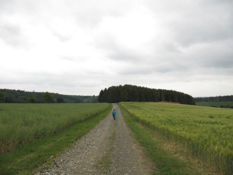 Bilder Wanderung Dankerode 30