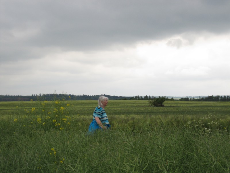 Bilder Wanderung Dankerode 32