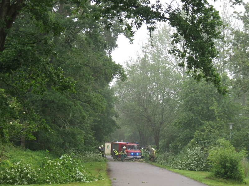 Feuerwehr räumt Baum weg 1