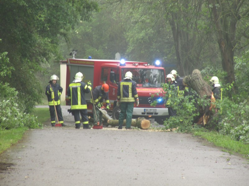 Feuerwehr räumt Baum weg 2