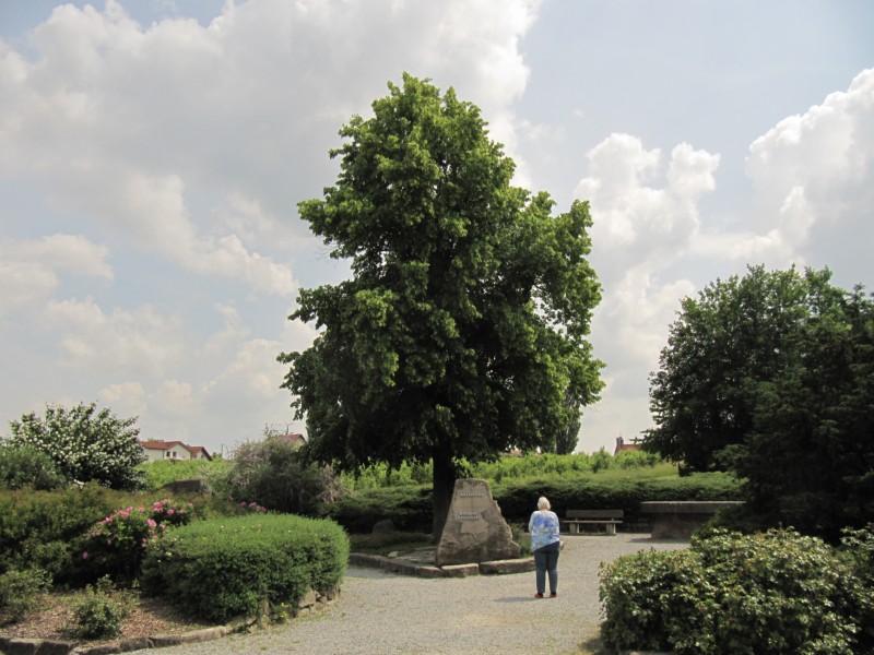 Mittelpunkt Deutschlands Niederdorla 3