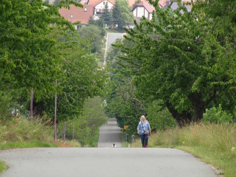 Besucherzentrum Himmelsscheibe 4