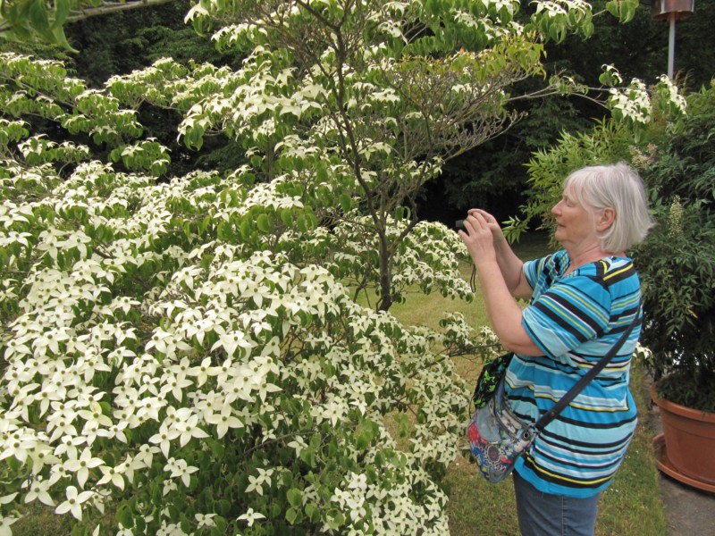 Bilder Rosarium Sangerhausen 3