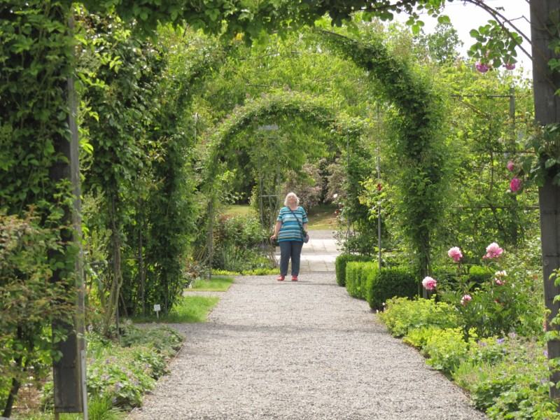 Bilder Rosarium Sangerhausen 26