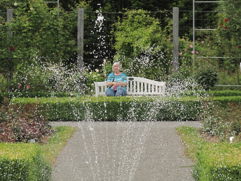 Bilder Rosarium Sangerhausen 27