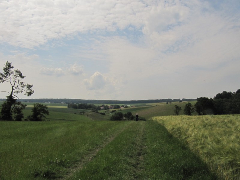 Am trockenen Wolkenbruch 1