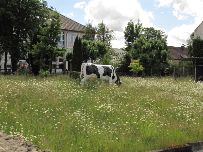 Warburg Bilder aus der Stadt 1