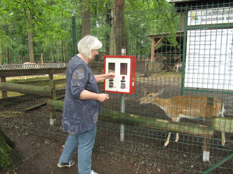 Im Forst von Ziegelroda 1