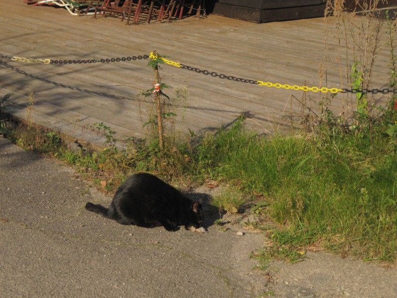 Bilder vom Campingplatz Altes Wehr 2