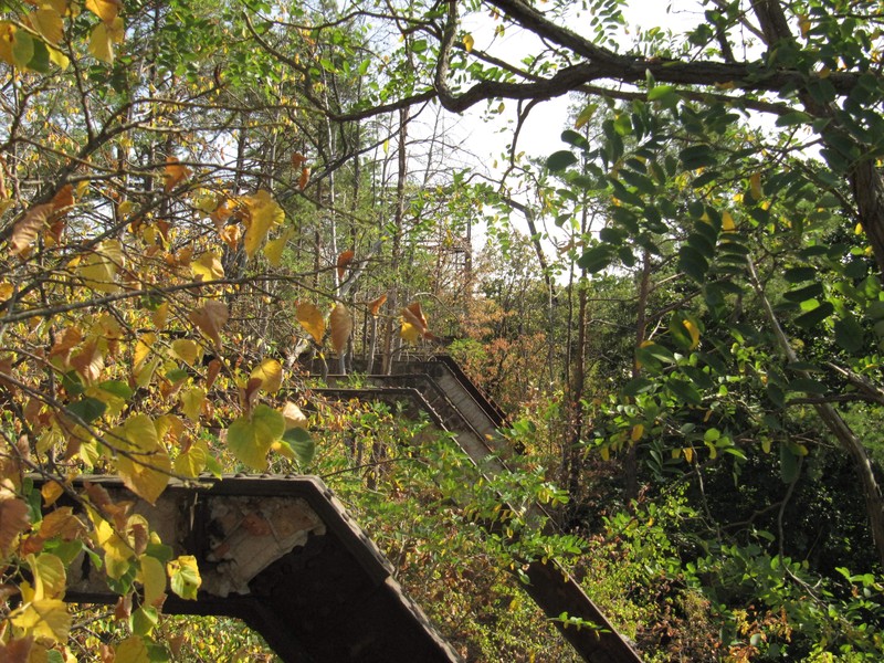 Rundgang Beellitz-Heilstätten 12