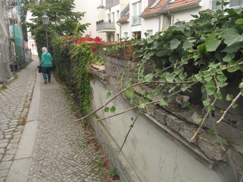 Stadtbummel Brandenburg 10