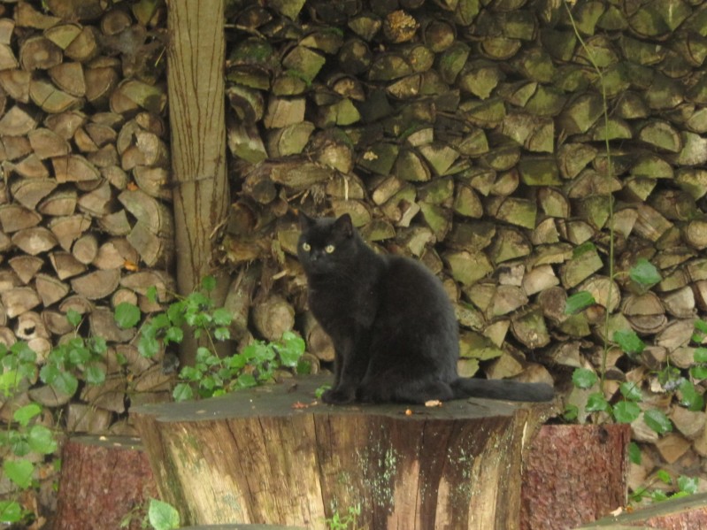 Bilder vom Campingplatz Ebstorf 6