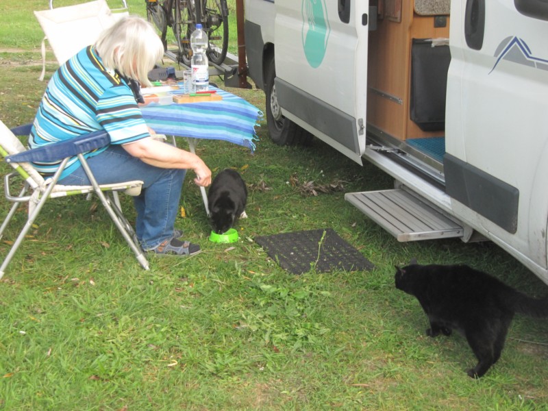 Bilder vom Campingplatz Nordsee/Südsee 1