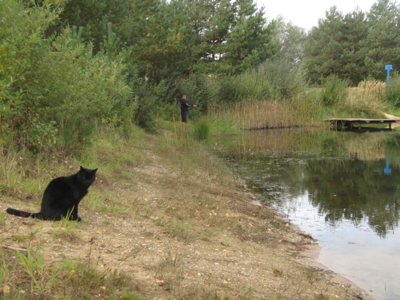 Spaziergang mit Kater 1