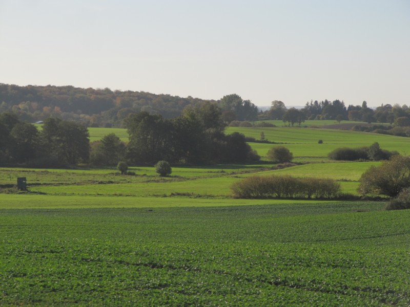 Landschaft Angeln 1