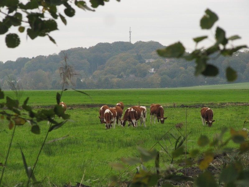 Radtour Burg 2