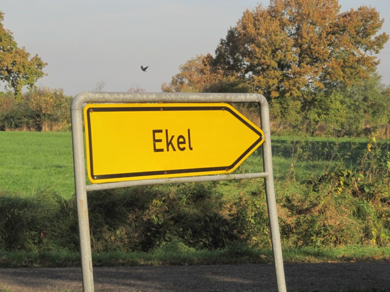 Wegweiser Ekel 2