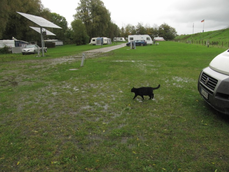 Bilder vom Campingplatz Friedrichstadt 6