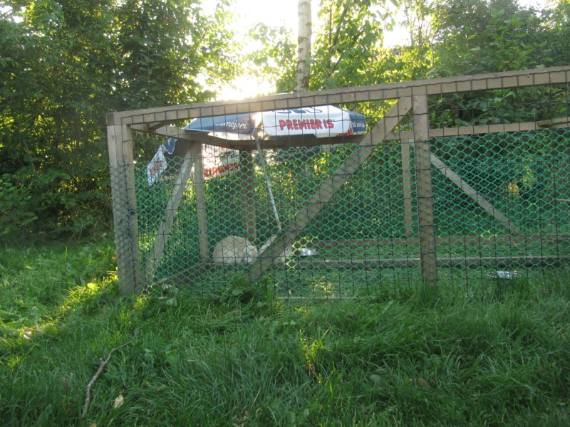 Die Tiere auf dem Campingplatz 2