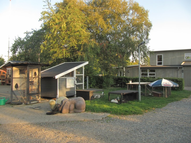 Die Tiere auf dem Campingplatz 7