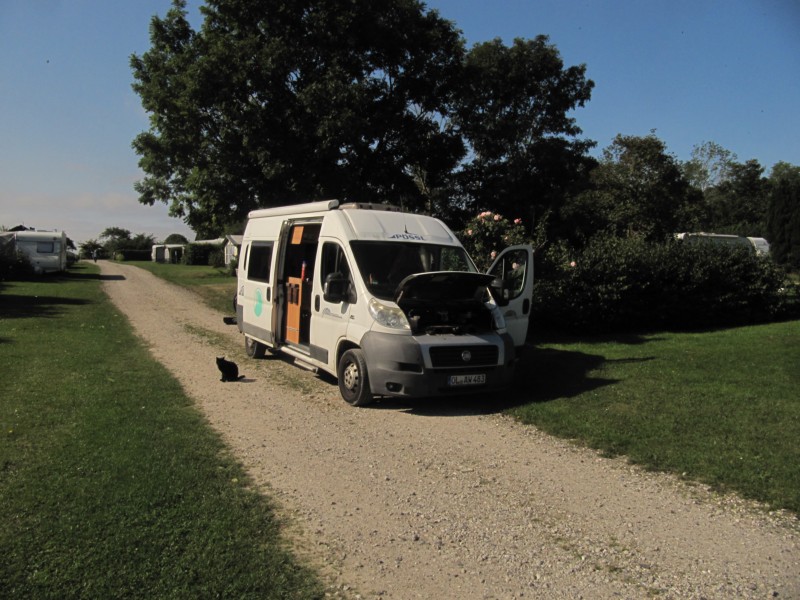 Bilder vom Campingplatz 10