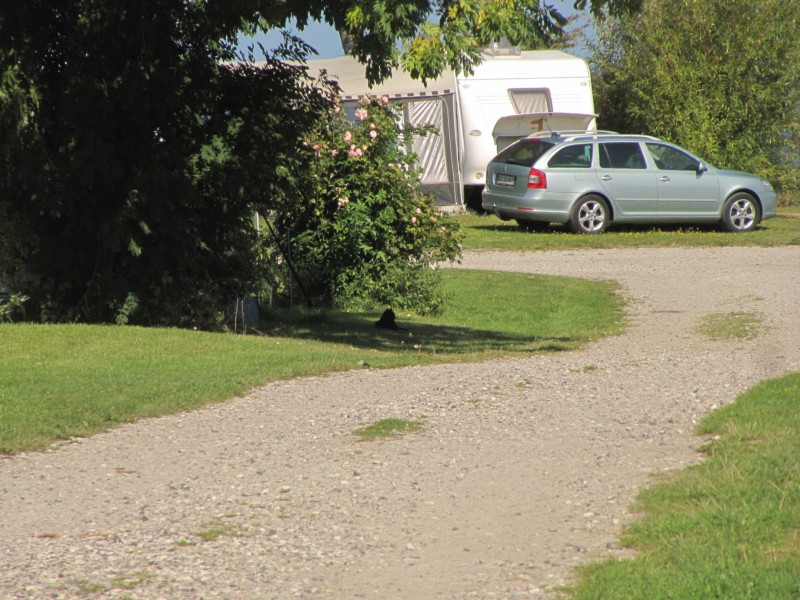 Bilder vom Campingplatz 19