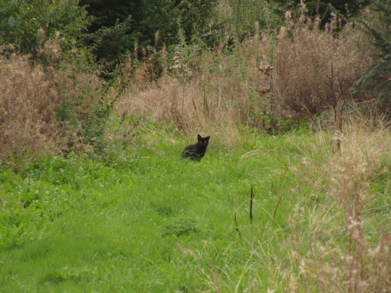 Bilder vom Dorf Spjellerup 7