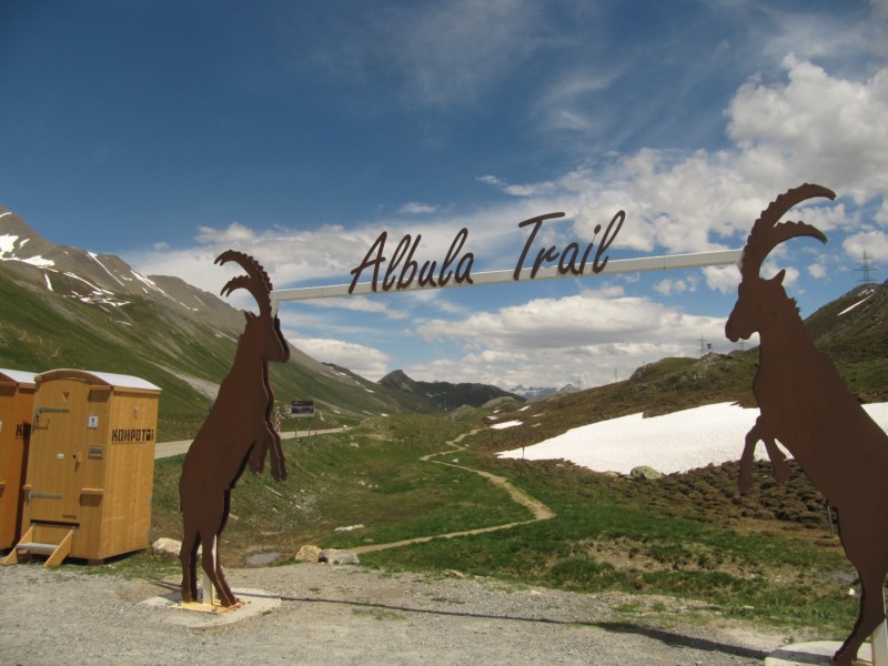 Am Albulapass 1