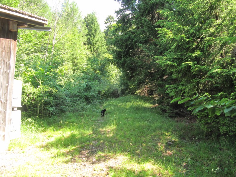 Parkplatz auf der Heidialp 6