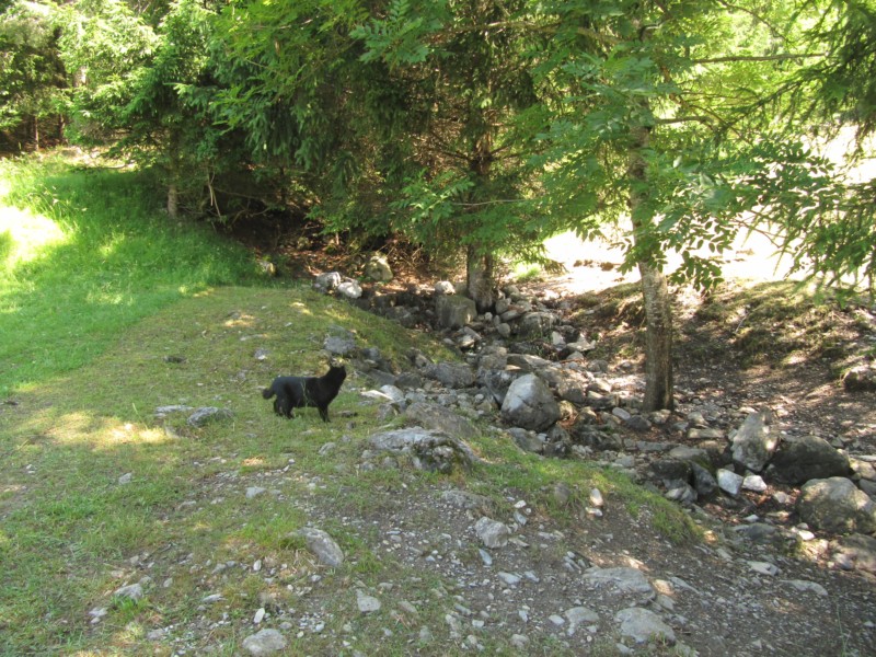 Parkplatz auf der Heidialp 7